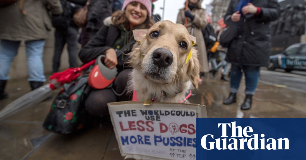 The best signs from the Women's March in London – in pictures | UK news ...