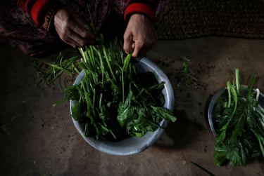Washing a green leafy vegetable