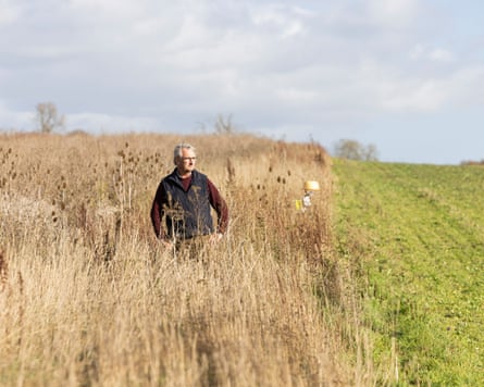 Alastair Leake stands amid tall grasses on a wildlife seed strip, with a strip of ploughed green farmland beside him