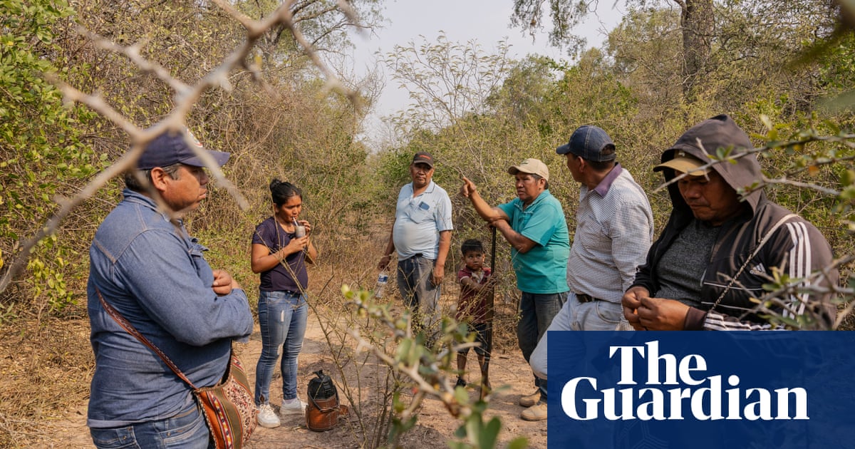 The end of the Ayoreo? The race to find proof that Paraguay's uncontacted people exist