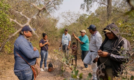 Ayoreo community leader Carlos Diri Etacore, 56, leads a monitoring group in an area near the threatened forest reserve where they believe their uncontacted Ayoreo relatives to be in the Paraguayan Chaco on August 21, 2024. The Ayoreo leaders say that accelerating deforestation is increasing pressure on their isolated relatives, forcing them out of their territory and leading to more sightings. María Magdalena Arréllaga / The Guardian