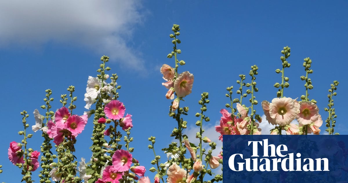 Will we have to choose different plants for hotter, drier summers?