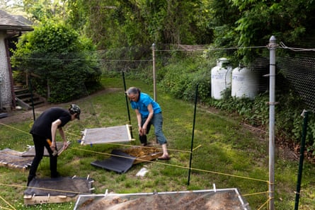 May 31, 2022. Waban Tarrant and Donna Collins-Smith dry recently harvested sugar kelp.