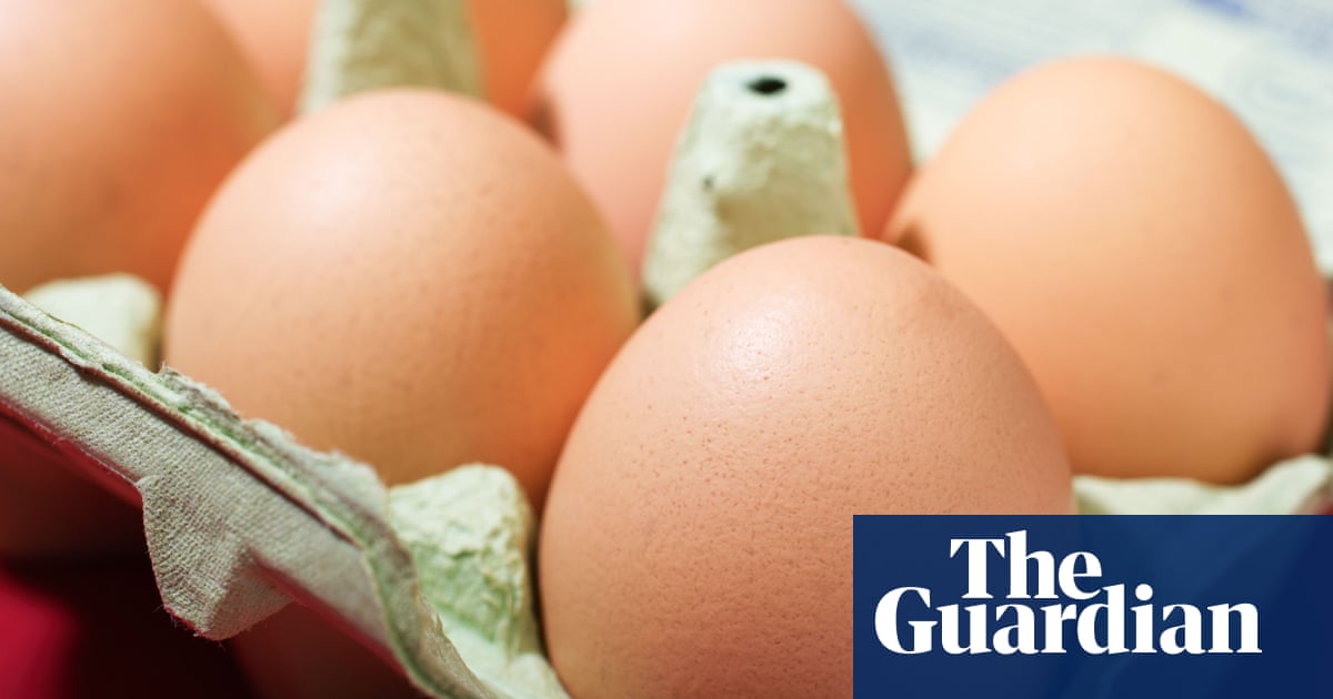 Low-welfare eggs from caged hens imported to UK in 'staggering' numbers