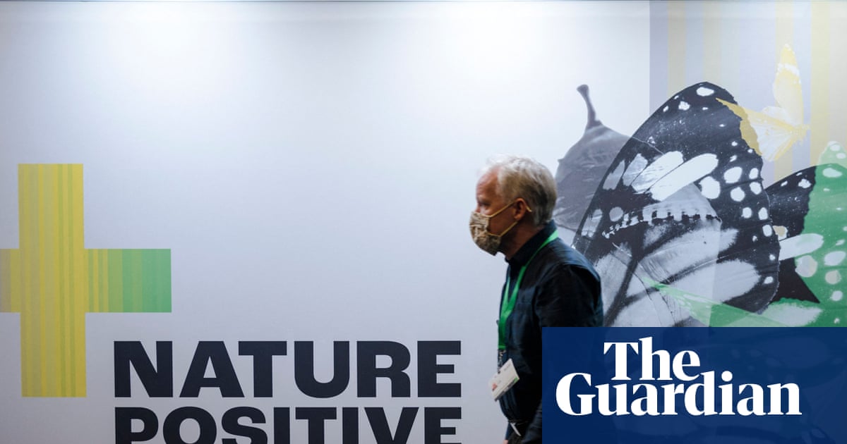 Cop17 at a glance: everything you need to know about the UNs nature summit
