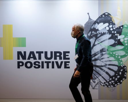 A delegate walks past a large image of a butterfly on a wall at Cop15 in Montreal.