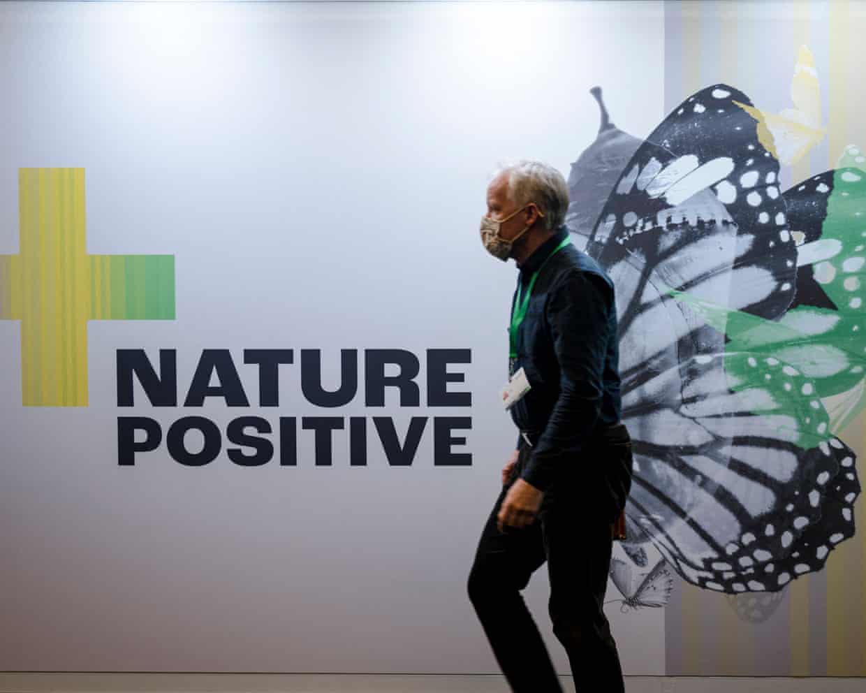 A delegate walks past a large image of a butterfly on a wall at Cop15 in Montreal.