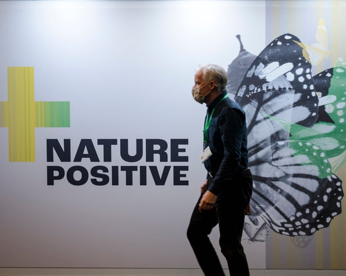 Cop17 at a glance: everything you need to know about the UN’s nature summit