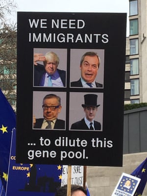 'We need immigrants to dilute this gene pool' + pictures of Johnson, Farage, Gove, Rees-Mogg