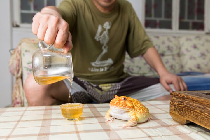 چونګښه