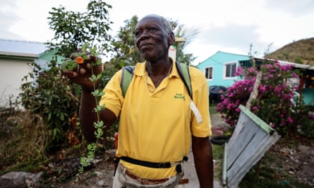 Bernardo Bernard, known as the Big Boy, who is a tourist guide who is committed to keeping the environment safe in Providence Island.