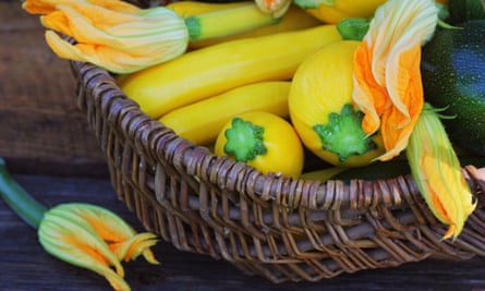 Courgettes in a basket