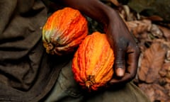 A cocoa farmer holds cocoa pods at his farm near the village of Kusa in the Ashanti region of Ghana