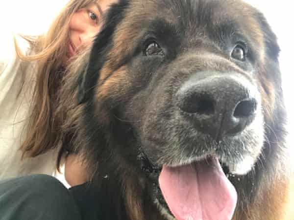 Rolo the dog with his owner Christina O’Reilly.