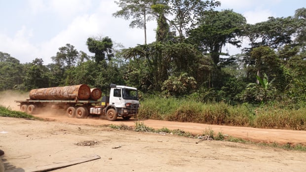Logging truck in Messok Dja.