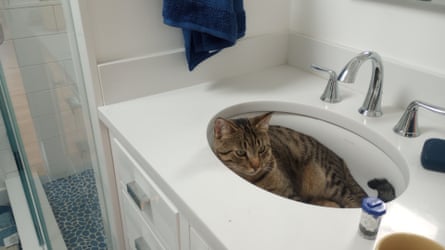 Keeping things clean … Hugo.