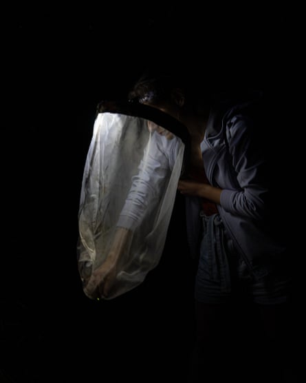 A man reaches into a net, his arm illuminated by his headtorch