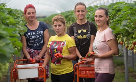 Afize Yuseinova, right, and her fellow Bulgarians on Langdon Manor farm, are among the dwindling number of European workers happy to stay in Britain.
