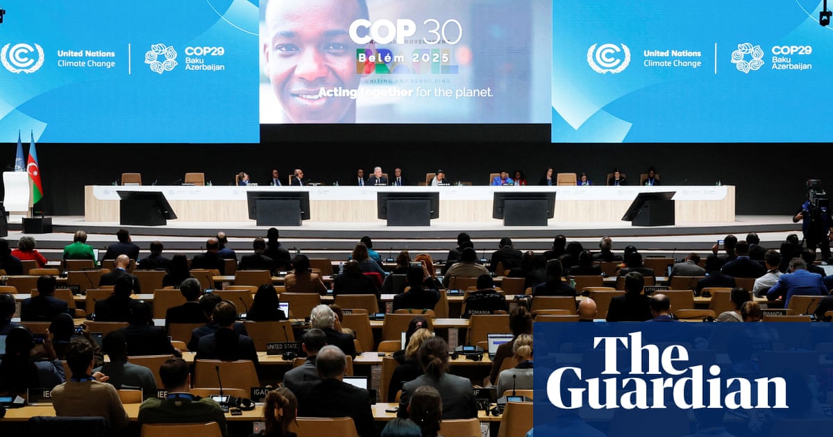 Cop29's new carbon market rules offer hope after scandal and deadlock