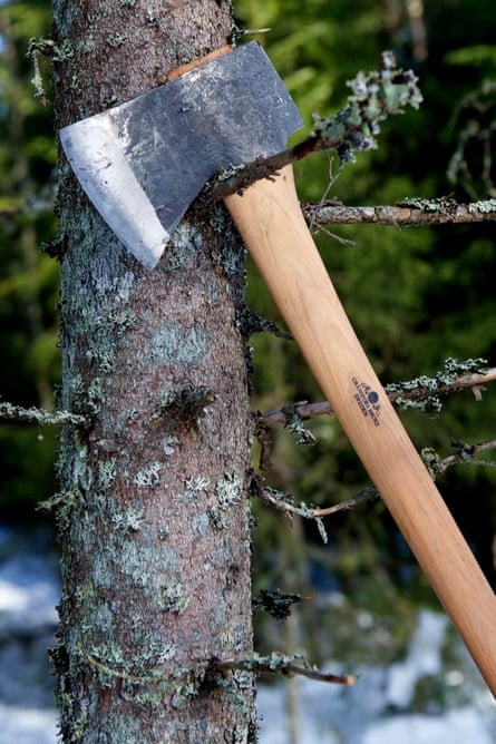 ‘Completely gripping’ ... a Swedish Gränsfors American Felling Axe, pictured in Norwegian Wood.
