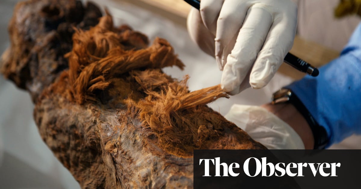 Mummy’s older than we thought: new find rewrites the history books