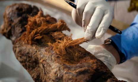 A scientist examines the Khuwy mummy, discovered in 2019.