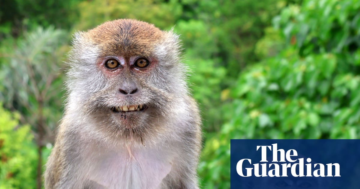 Week in wildlife: a bookworm bear, an angelic spider and a bald hedgehog