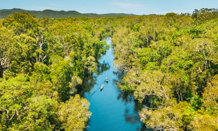 Aerial view of the Noosa Everglades
