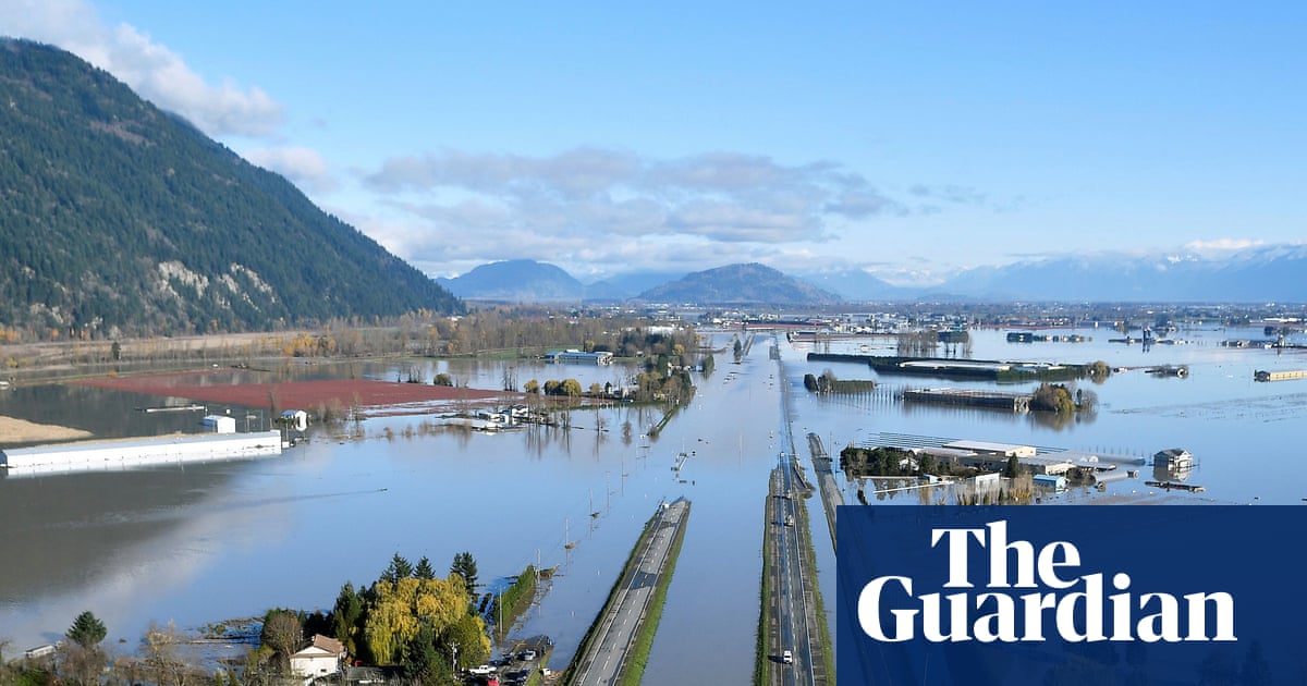 Without our expertise, mistakes get made': the Cop30 campaign to give workers a voice