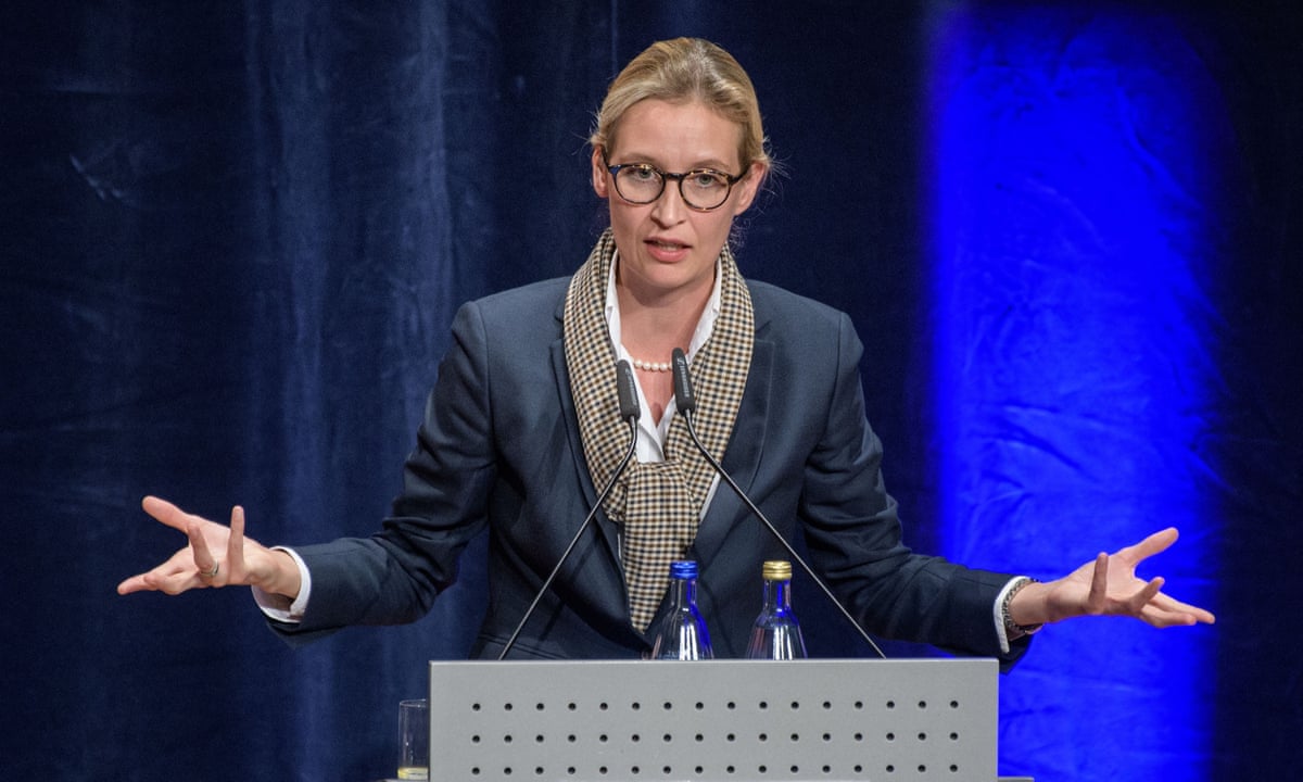 AfD's top candidate hit by 'overrun by Arabs' email allegation | Germany |  The Guardian