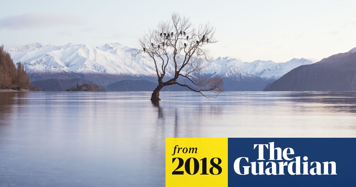 Why Silicon Valley billionaires are prepping for the apocalypse in New Zealand