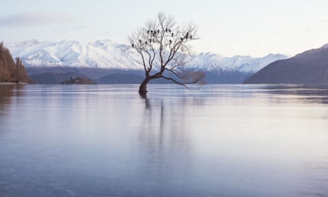 Lake Wanaka, New Zealand, where Peter Thiel owns a large parcel of land