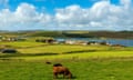 Viking Wind Farm consisting of 103 wind turbines constructed by SSE on the Shetland mainland from 2020 and completed in 2024<br>2XTK6W2 Viking Wind Farm consisting of 103 wind turbines constructed by SSE on the Shetland mainland from 2020 and completed in 2024
