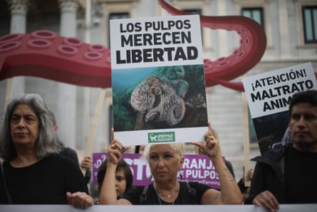 Ecologists and animal rights activists gathered in front of the Spanish congress to call on the government to stop fishing company Nueva Pescanova from building an octopus farm in Las Palmas