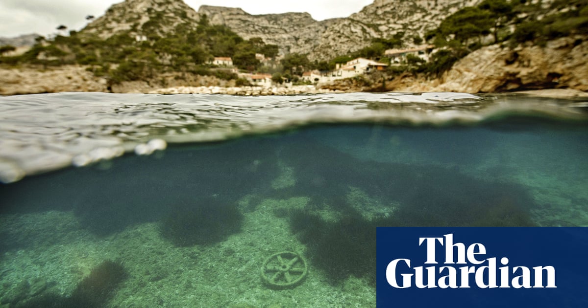 Sunscreen chemicals accumulating in Mediterranean seagrass, finds study