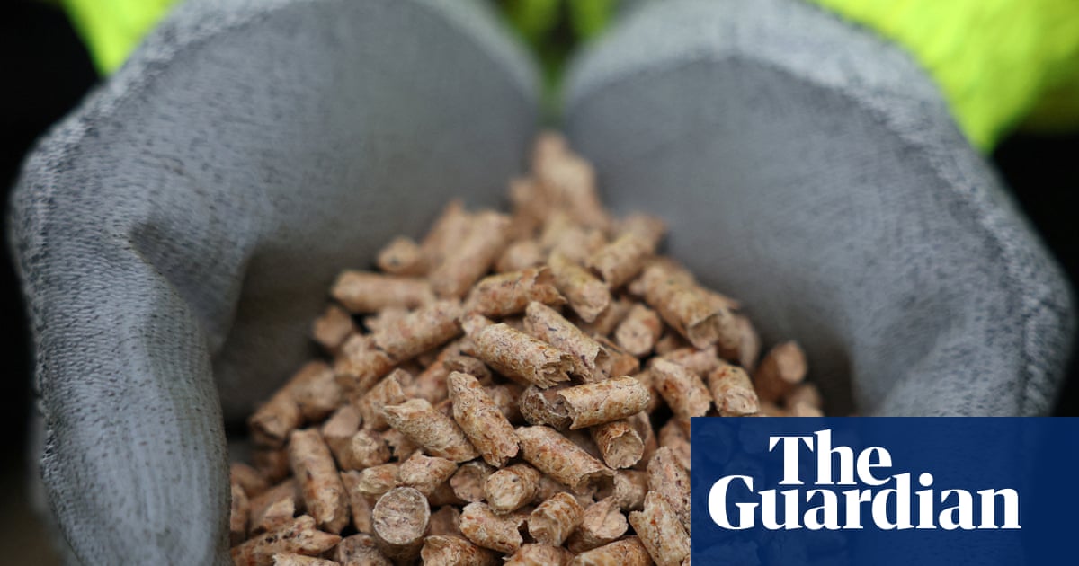 UK power company Drax investigated over source of ‘renewable’ fuel