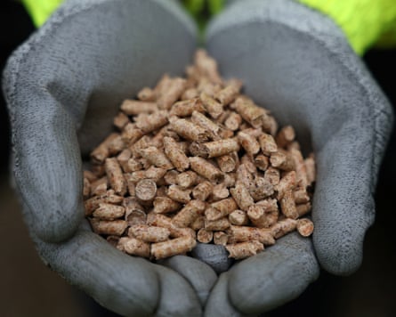 A worker holds a sample of the biomass fuel pellets at the Drax Power station near Selby.