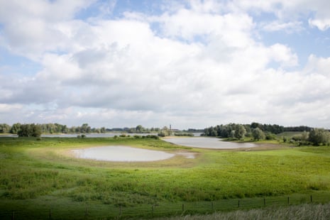 Rewilding area next the river Waal, Nijmegen, The Netherlands.