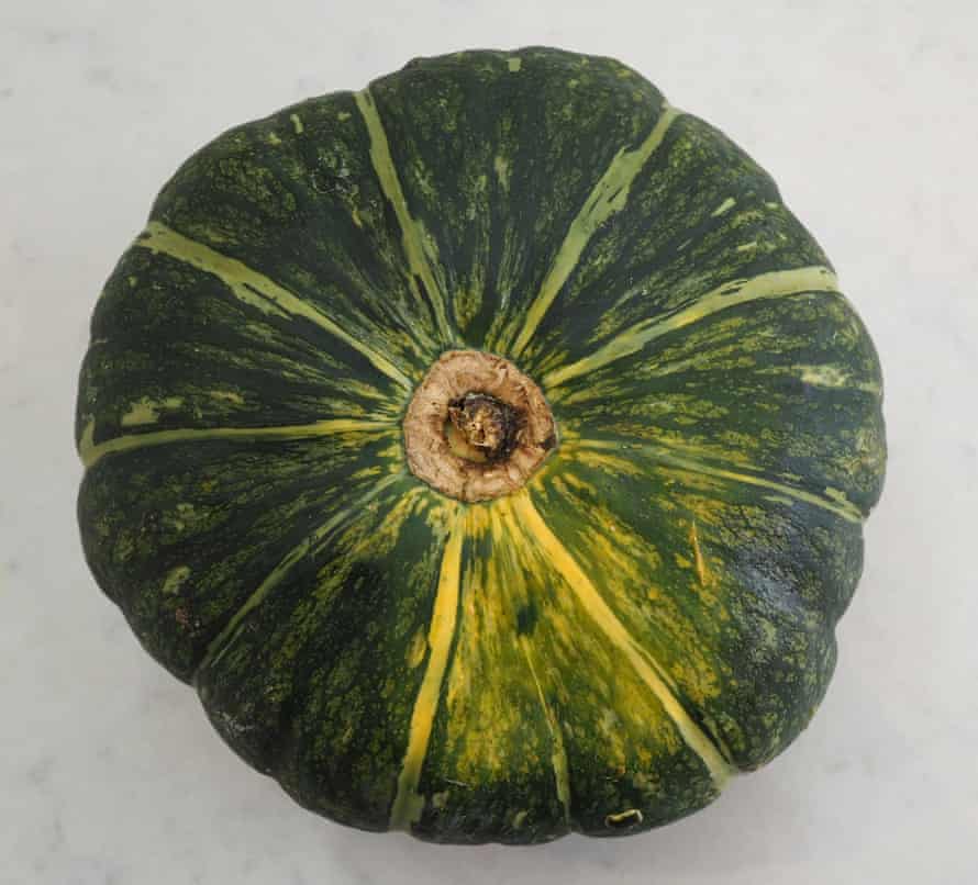 Kabocha.