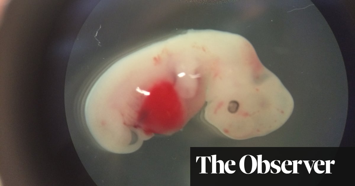 Get The Five Chimeras Created By Science Technology The Guardian HD Wallpaper The Five Chimeras Created By Science Technology The Guardian For iPhone