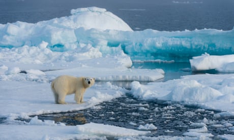 Finland voices concern over US and Russian climate change doubters