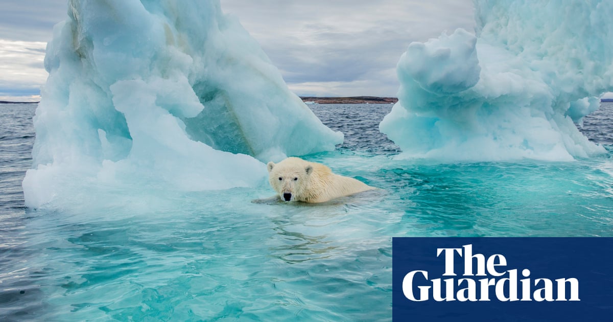 Polar challenge: as the sea ice melts, can countries come together to protect the Arctic Ocean?