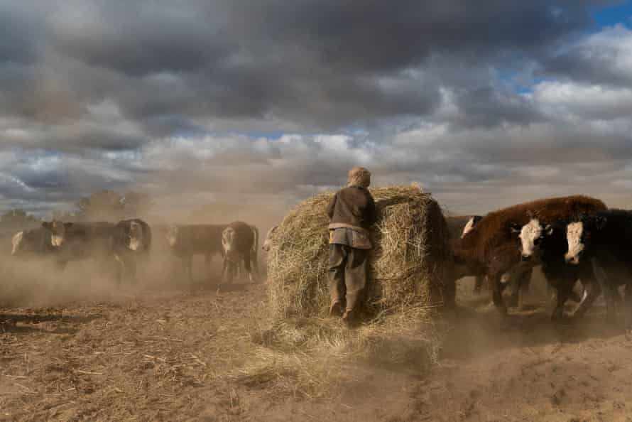 Harry Taylor, 6, plays on the dust bowl his family farm has become during the drought.