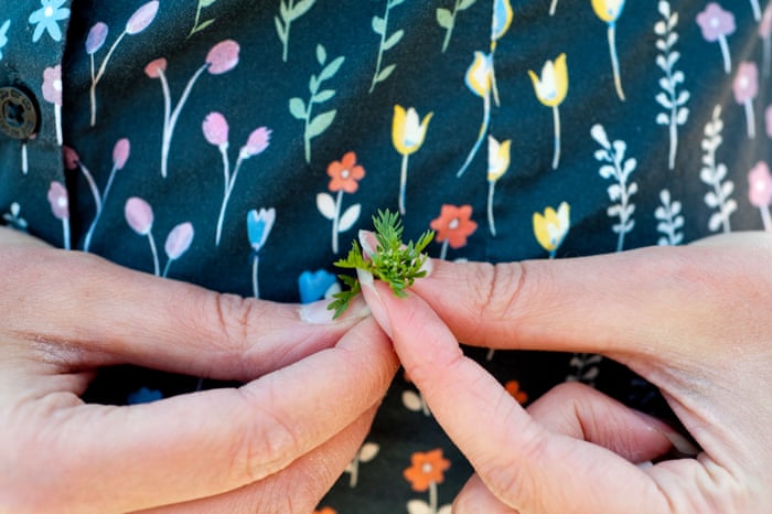 Not Just Weeds How Rebel Botanists Are Using Graffiti To Name Forgotten Flora Plants The Guardian Not Just Weeds How Rebel Botanists Are Using Graffiti To Name Forgotten Flora Plants The Guardian
