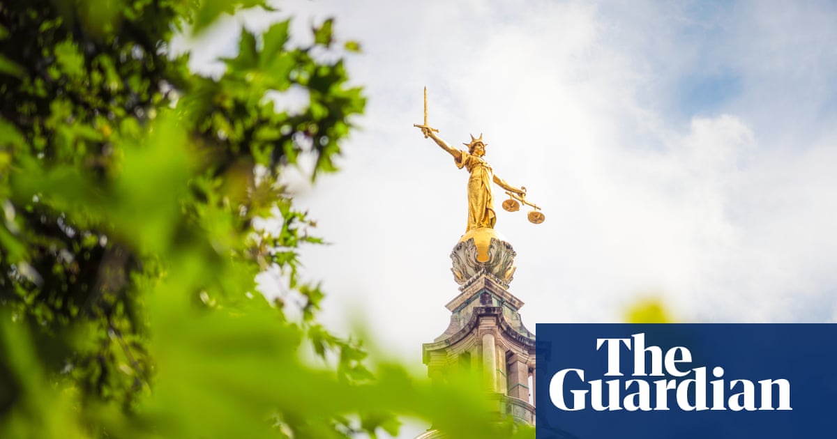 Politicians, lawyers and doctors express concern over use of expert witnesses in English courts