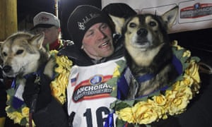 Download Iditarod Dog Doping Scandal Puts Future Of Sled Race Under For iPhone Free Wallpaper Iditarod Dog Doping Scandal Puts Future Of Sled Race Under For iPhone Free