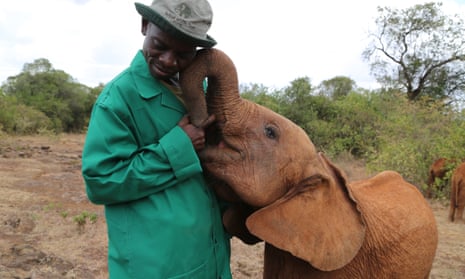 Elephants are increasingly dependent on humans for survival. 