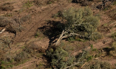Aerial view of deforestation in Chaco, Argentina, 19 and 20 February 2019