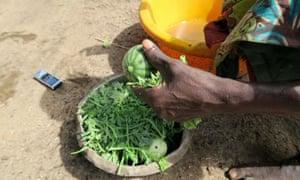 A soup of unripe watermelon and leaves being prepared as the sole meal of the day in Fombe