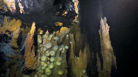 A hydrothermal vent field in the mid-Atlantic ridge.